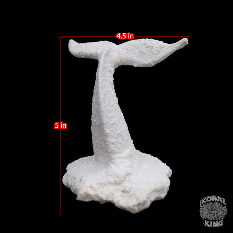 Whale Tail Rock Decor