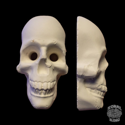 Skull Face Rock Decor