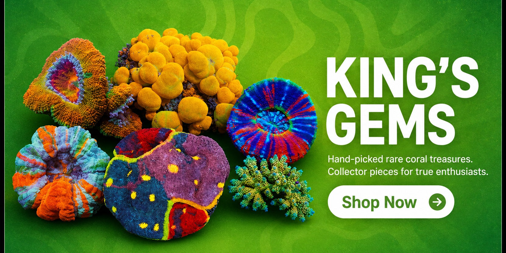 Shop King's Gems — hand-picked, one-of-a-kind pieces