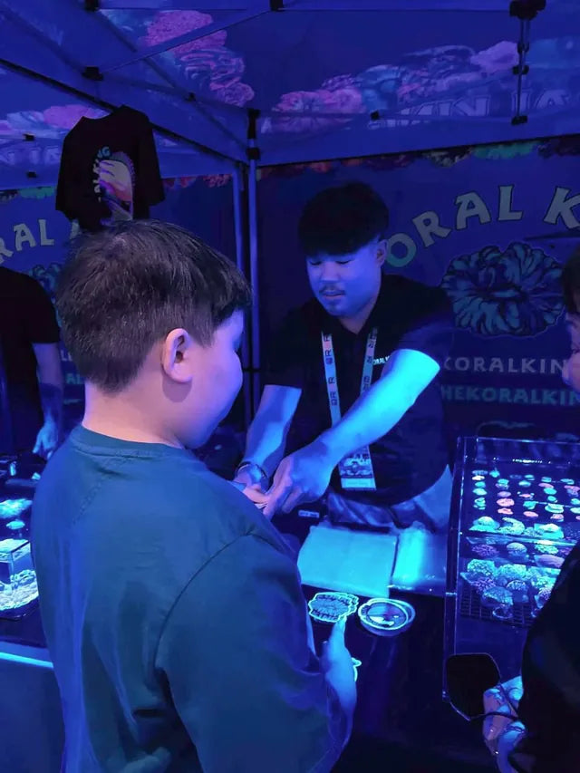 Koral King at Reef-A-Palooza California, August 13–14, 2022