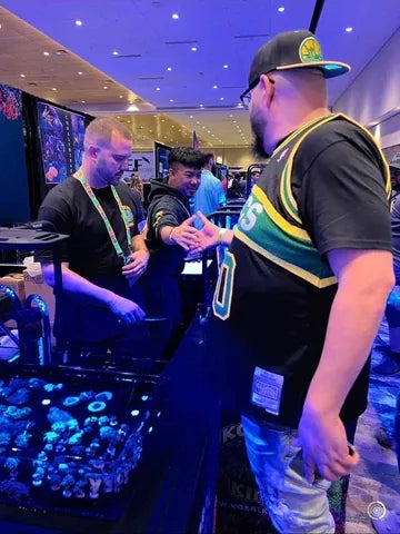 Koral King at Reef-A-Palooza Orlando, April 23–24, 2022