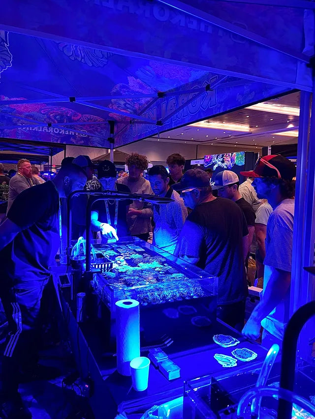 Koral King at Reef-A-Palooza Orlando, April 22–23, 2023