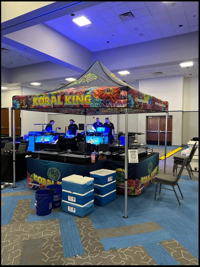 Koral King at Florida Frag Swap Lakeland, February 10, 2024