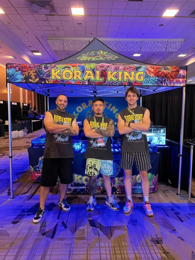 Koral King at Reef-A-Palooza California, September 7, 2024
