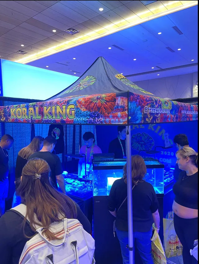 Koral King at Reef-A-Palooza Orlando, April 20, 2024